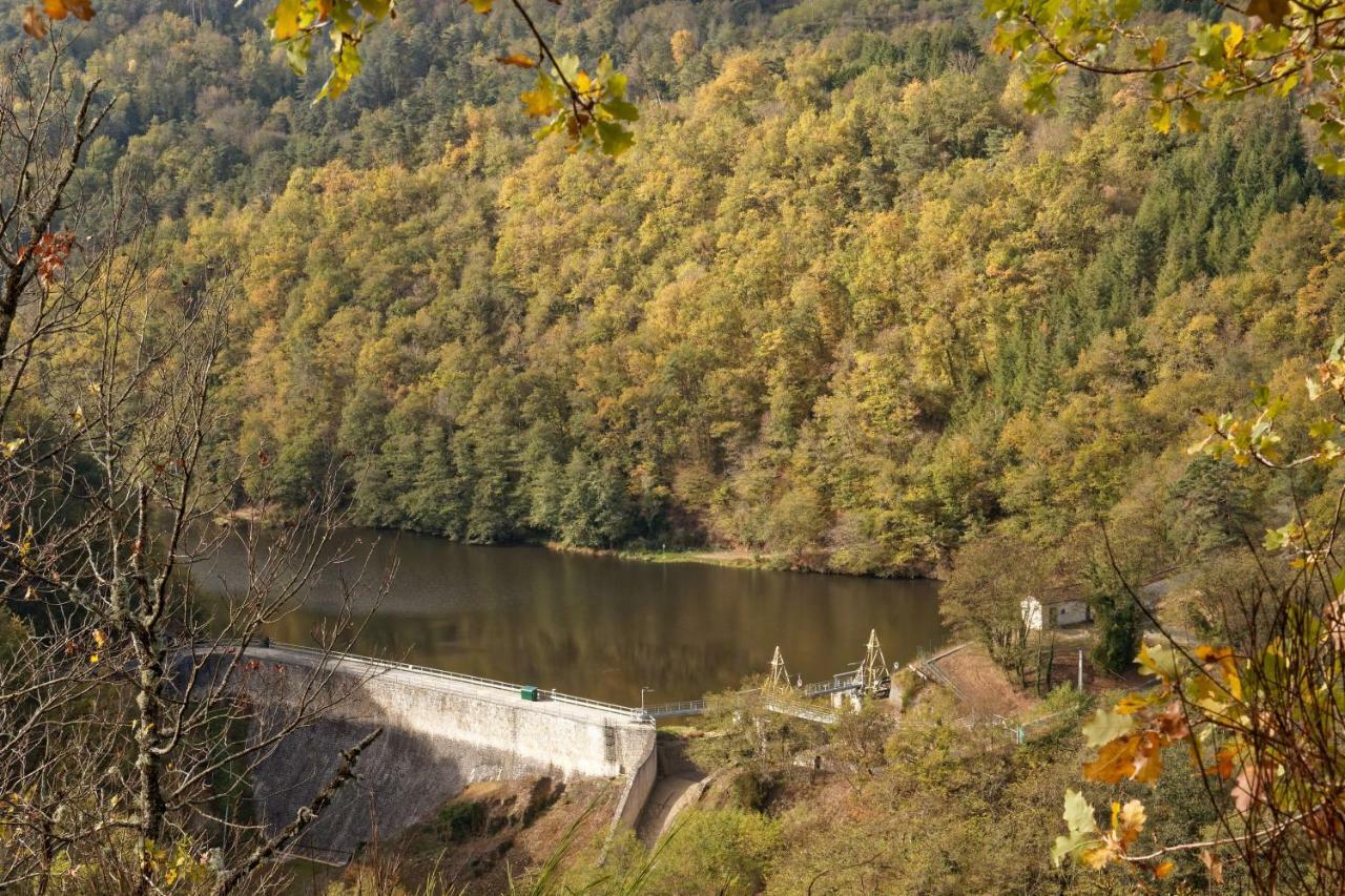 Gite De Sauviat 25 Chemin Du Grand Pacher Le Bourg De Sauviat 63120 Exteriör bild